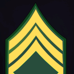 36117929