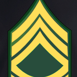 36117931
