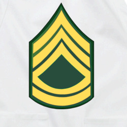 36117932