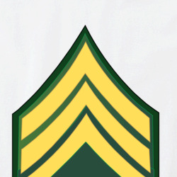 36117936