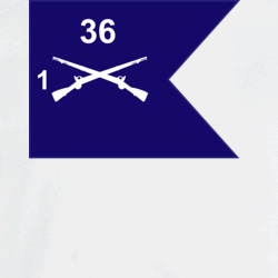 36139892