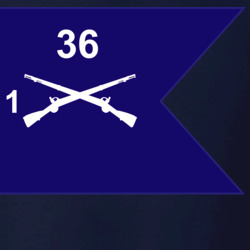 36139898