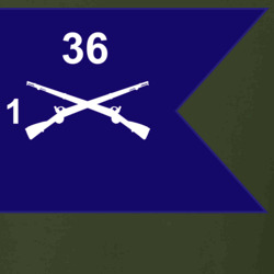 36139903