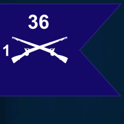 36139904