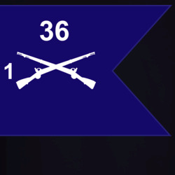 36139905