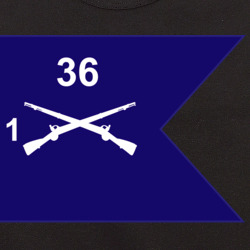 36139914