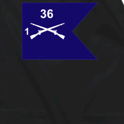 36139915
