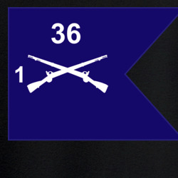 36139923