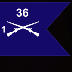 36139932