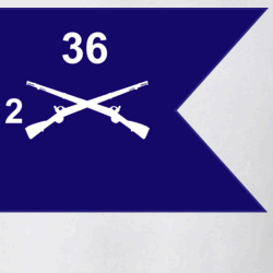 36139981