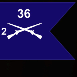 36139982