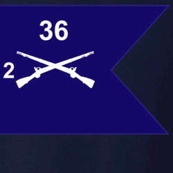 36139986