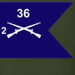 36139988