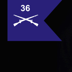 36140264