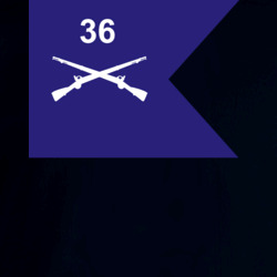 36140265