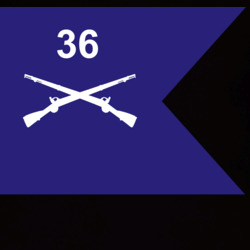 36140296