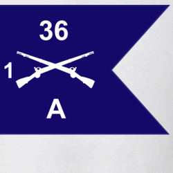 36140302