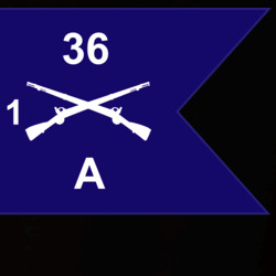 36140303