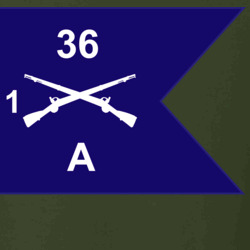 36140305