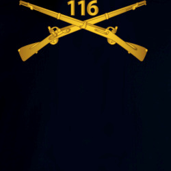 36140306