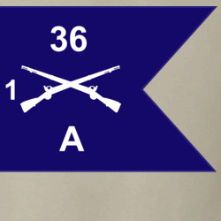36140308