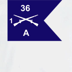 36140309
