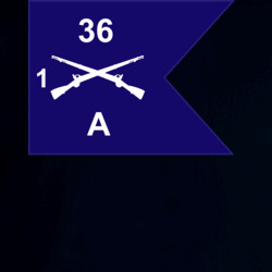 36140311