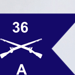36140329