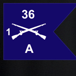 36140336