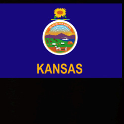 36153304