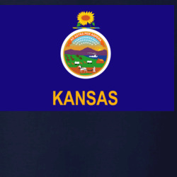 36153306