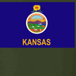 36153307