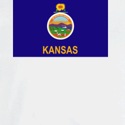 36153310