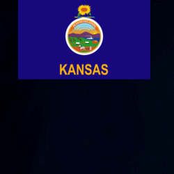 36153312