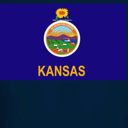 36153314