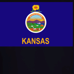 36153315
