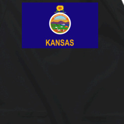 36153316