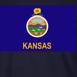 36153320