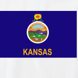 36153323
