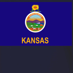 36153335
