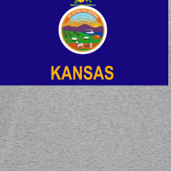 36153338