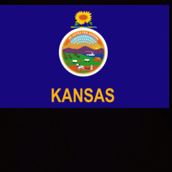 36153339