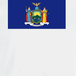 36153349