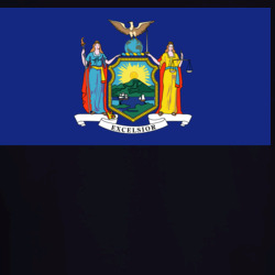 36153353