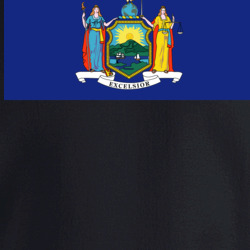 36153371