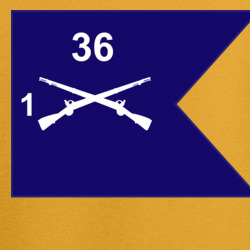 36160104
