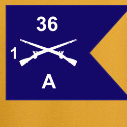 36221004