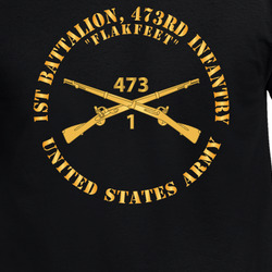 Army - 1st Battalion, 473rd Infantry Regiment Branch - Flakfeet - US Army X 300 T Shirt 40344206