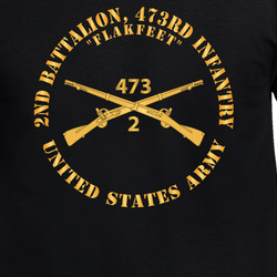 Army - 2nd Battalion, 473rd Infantry Regiment Branch - Flakfeet - US Army X 300 T Shirt 40344216