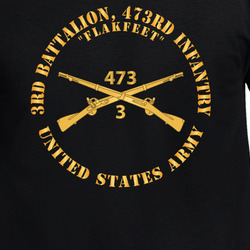 Army - 3rd Battalion, 473rd Infantry Regiment Branch - Flakfeet - US Army X 300 T Shirt 40344225